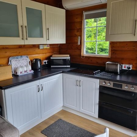Mountain View Log Cabin In Snowdonia Nr Coed Y Brenin Tanygrisiau Eksteriør bilde