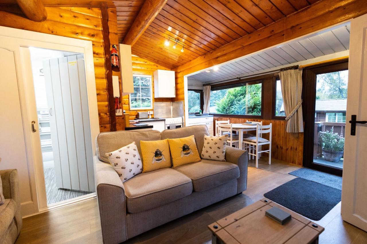 Mountain View Log Cabin In Snowdonia Nr Coed Y Brenin Tanygrisiau Eksteriør bilde